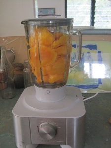 Mango in blender